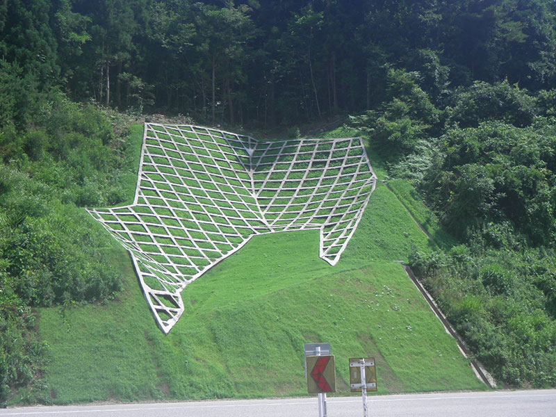 完成写真